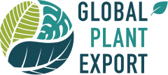 Global Plant Export